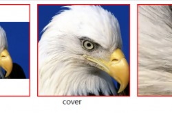 CSS3特性：图片变形处理，设置属性object-fit: cover完美解决！